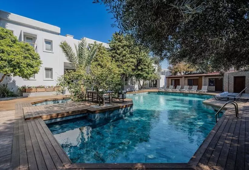 Fotos del hotel Centro Bodrum:  8