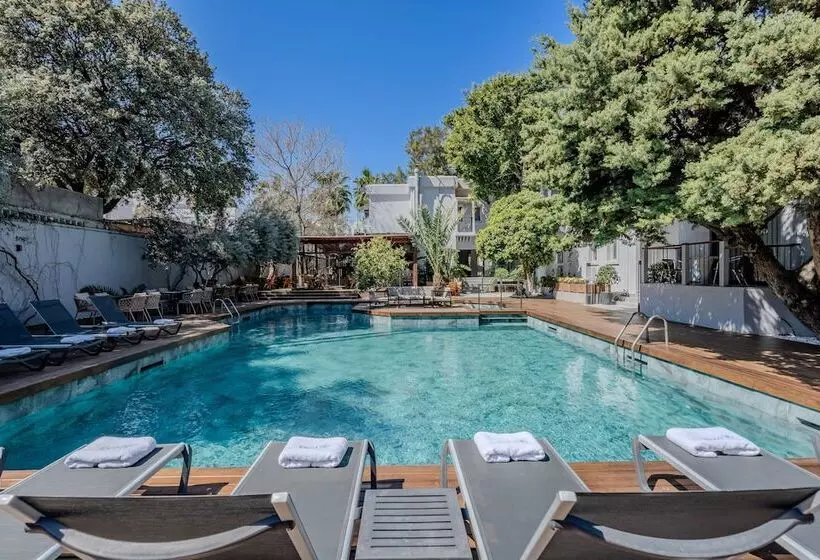 Fotos del hotel Centro Bodrum:  5