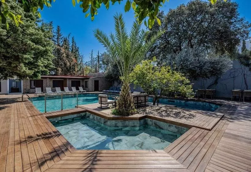 Fotos del hotel Centro Bodrum:  12