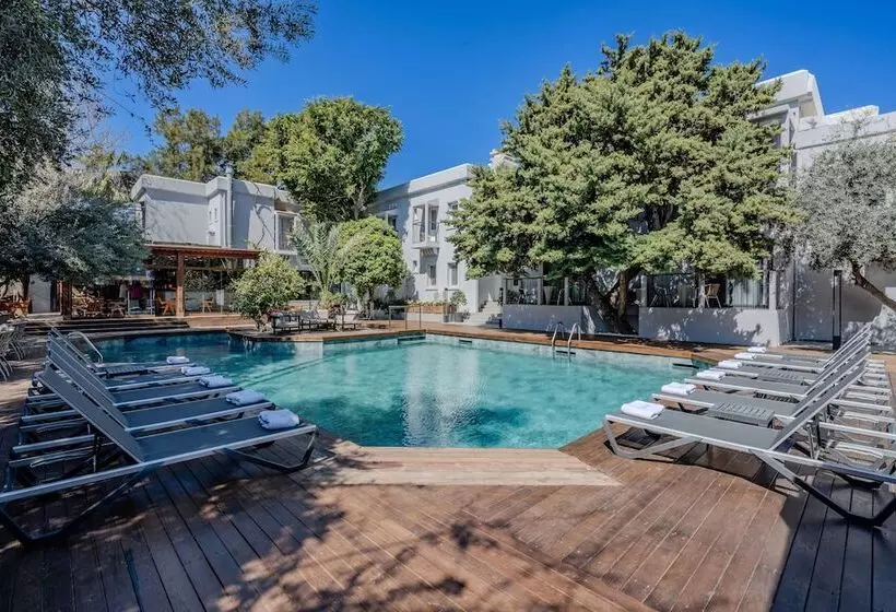 Fotos del hotel Centro Bodrum:  10