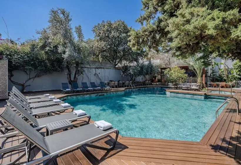 Fotos del hotel Centro Bodrum:  2