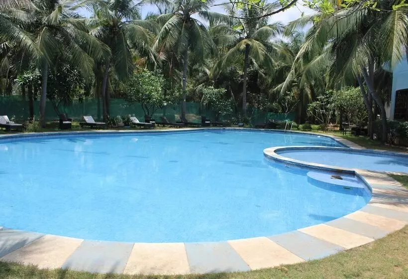 Citrus Sriperumbudur