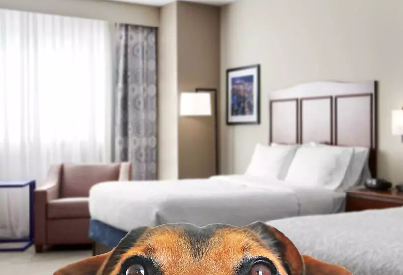 Fotos del hotel Hampton Inn & Suites Mt. Prospect:  25