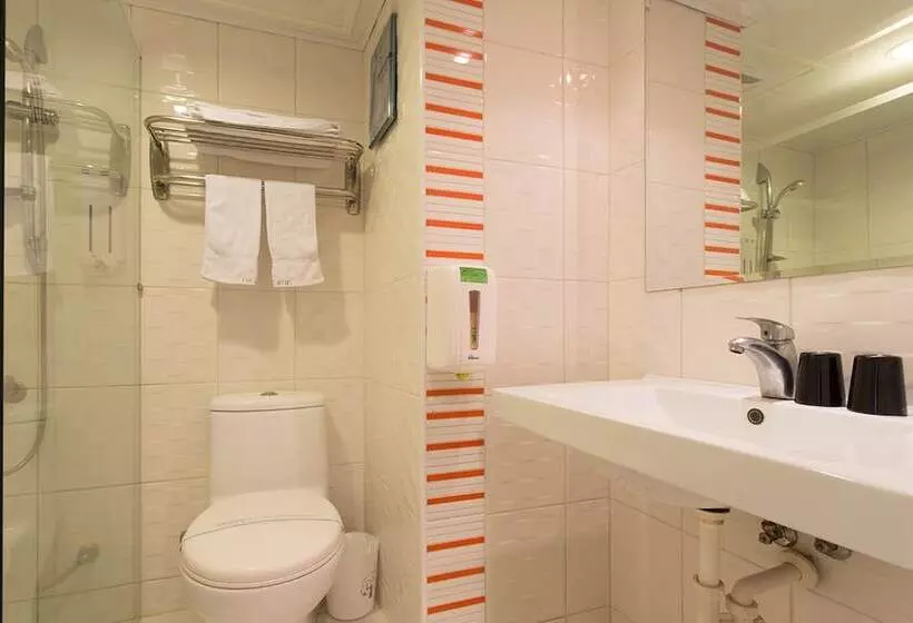 Fotos del hotel Palmer:  5