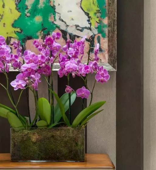 Fotos del hotel Hôtel Volney Opéra:  4