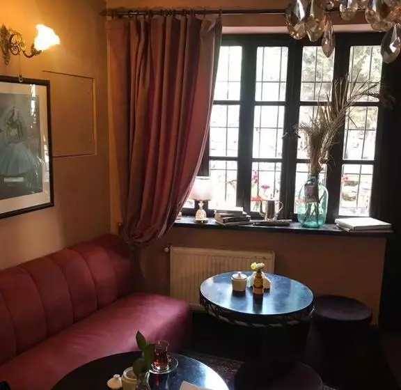 Fotos del hotel Altstadt:  4