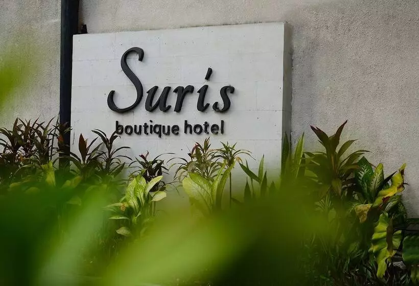 Fotos del hotel Suris Boutique:  8