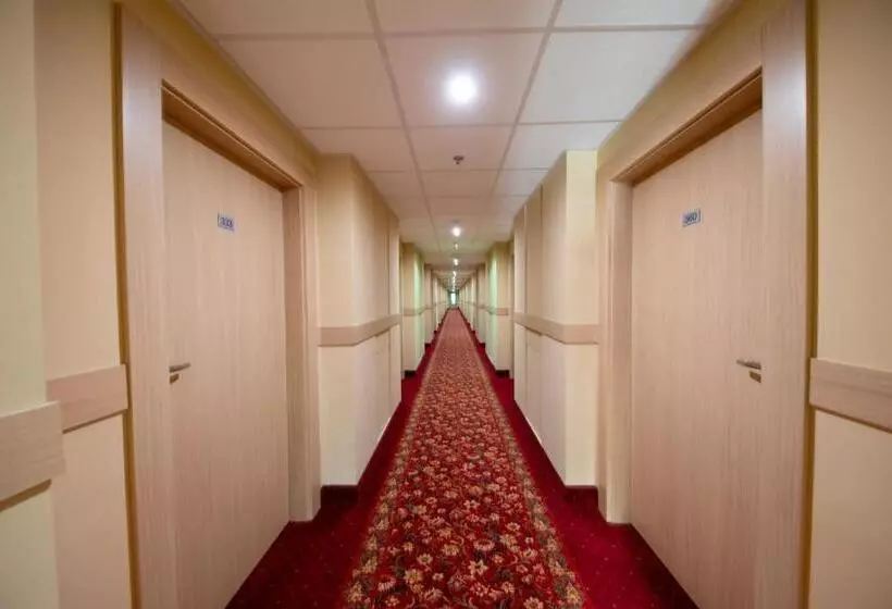 Fotos del hotel 500:  12