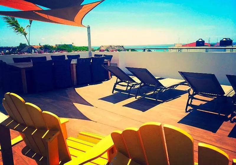 Fotos del hotel 5th Avenue Sol Del Caribe Apart  By Bfh:  14