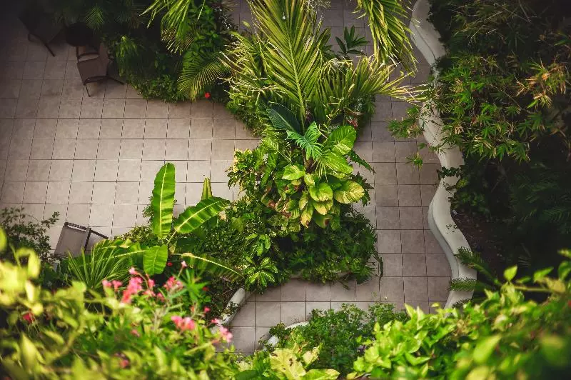 Fotos del hotel Encanto Riviera Condo:  17