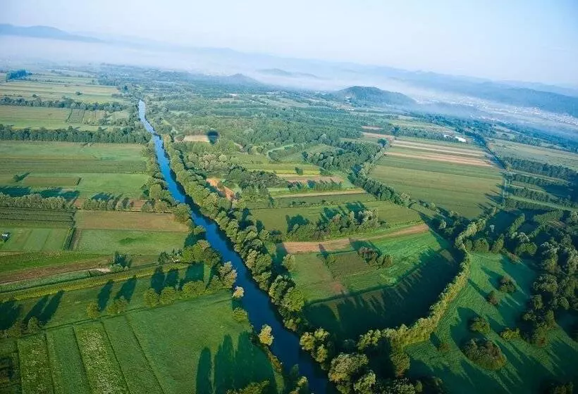 Fotos del hotel G Design:  6