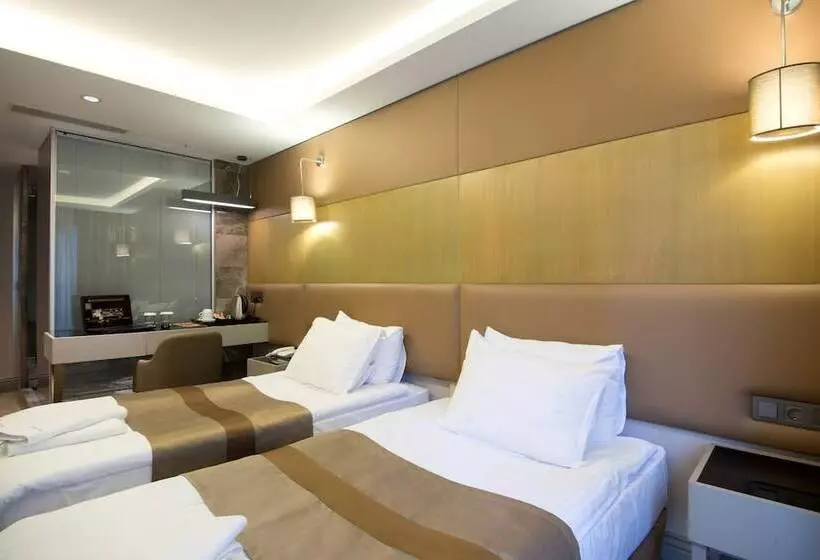 Fotos del hotel Gk Regency Suites:  8