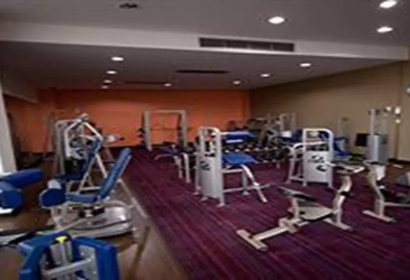 Fotos del hotel Dynasty Grande:  25