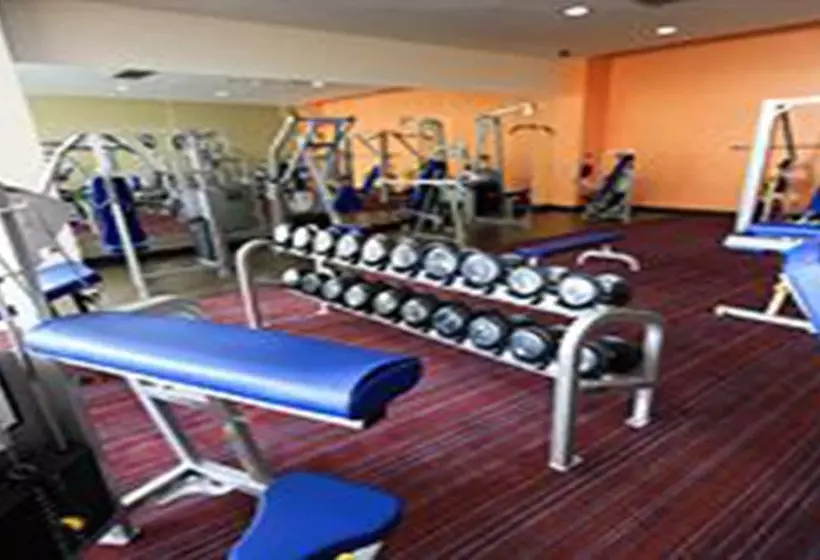 Fotos del hotel Dynasty Grande:  22