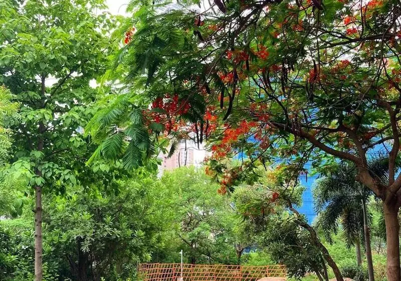 Fotos del hotel Hyatt Hyderabad Gachibowli:  22