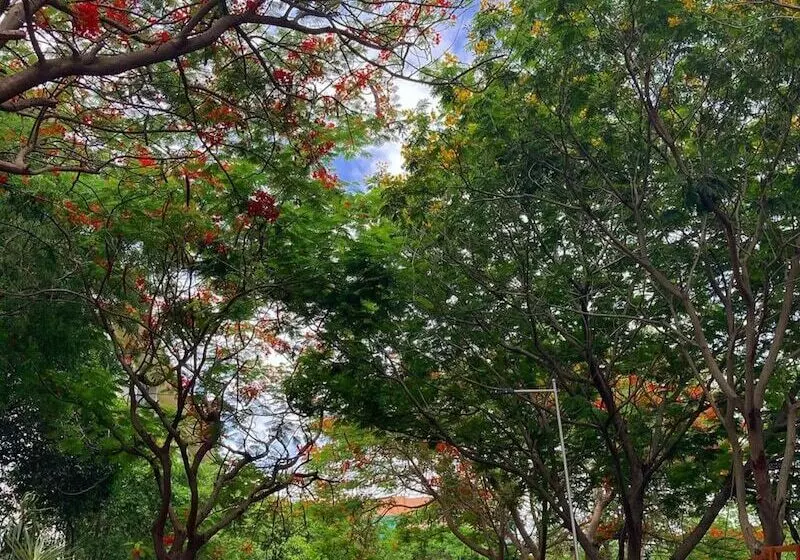 Fotos del hotel Hyatt Hyderabad Gachibowli:  14