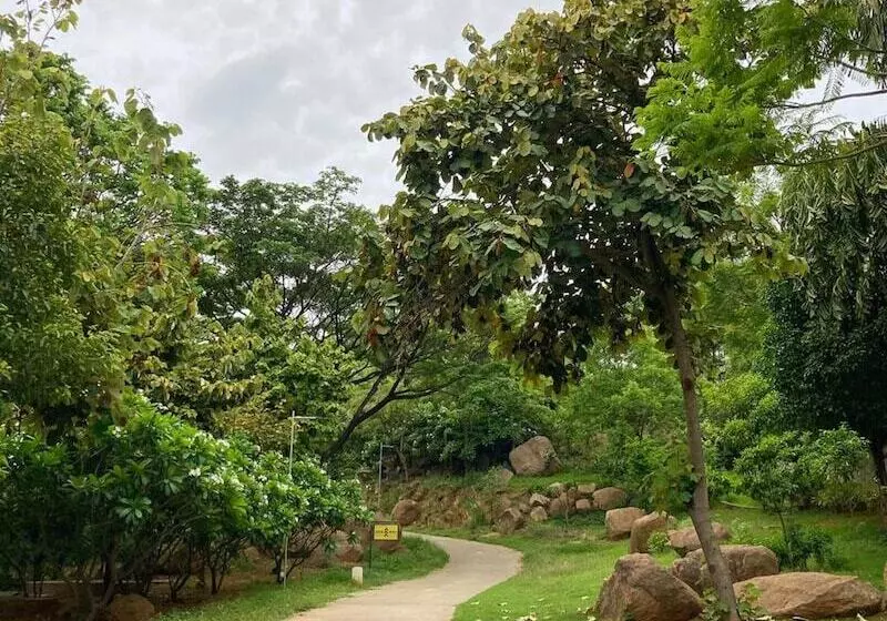 Fotos del hotel Hyatt Hyderabad Gachibowli:  18