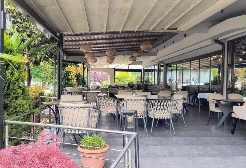 Fotos del hotel Millenium Palace:  5