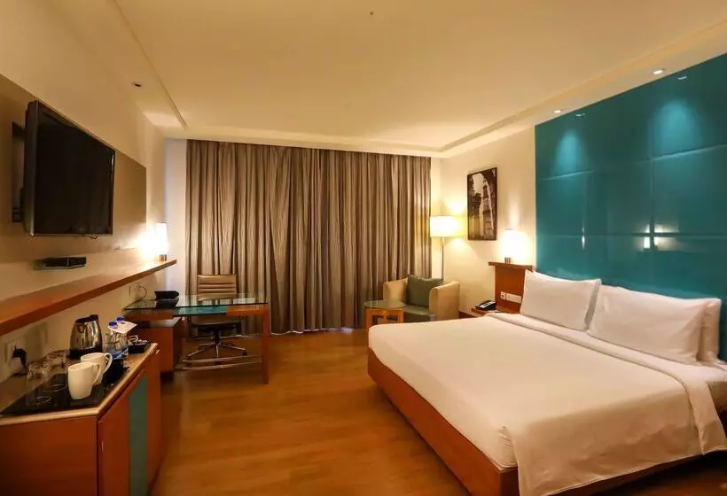 Fotos del hotel Radisson Blu  Chennai City Centre:  13
