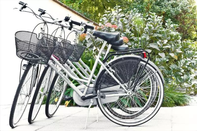 Fotos del hotel San Marco:  6