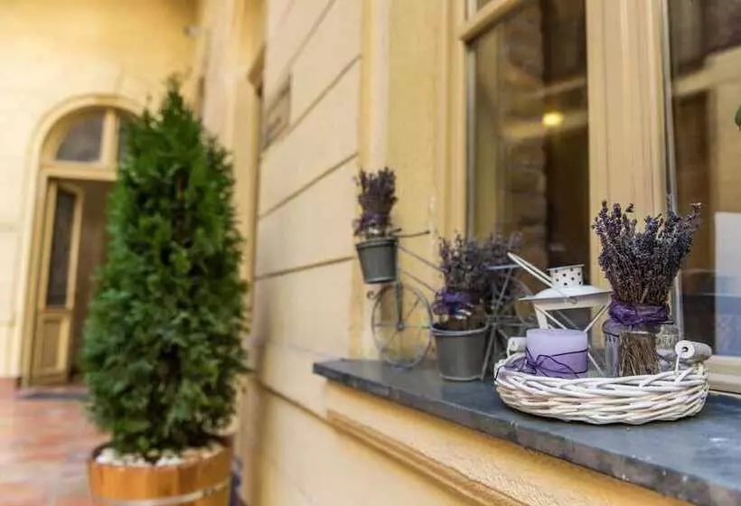 Fotos del hotel Centrooms House:  11