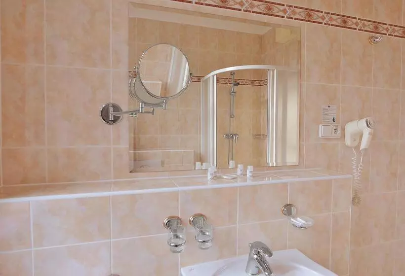 Fotos del hotel Spa & Wellness  Silva:  15