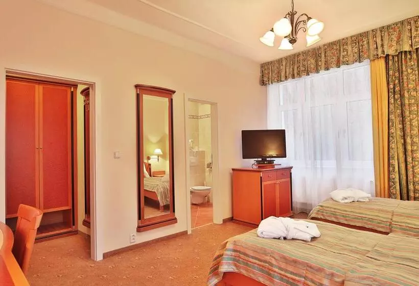 Fotos del hotel Spa & Wellness  Silva:  21