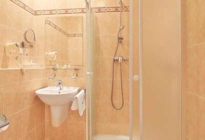 Fotos del hotel Spa & Wellness  Silva:  18