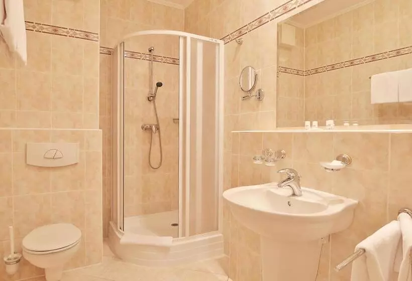 Fotos del hotel Spa & Wellness  Silva:  20