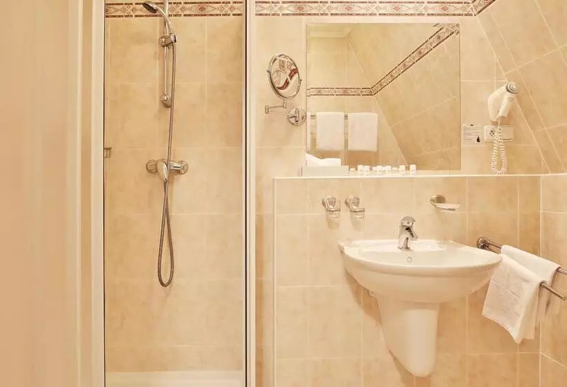 Fotos del hotel Spa & Wellness  Silva:  8