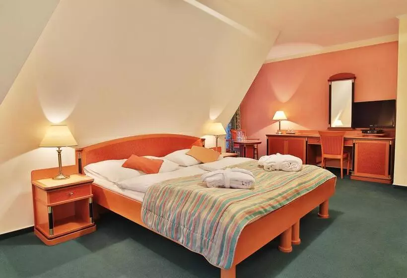 Fotos del hotel Spa & Wellness  Silva:  25