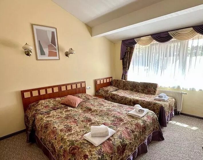 Fotos del hotel Leotel:  13