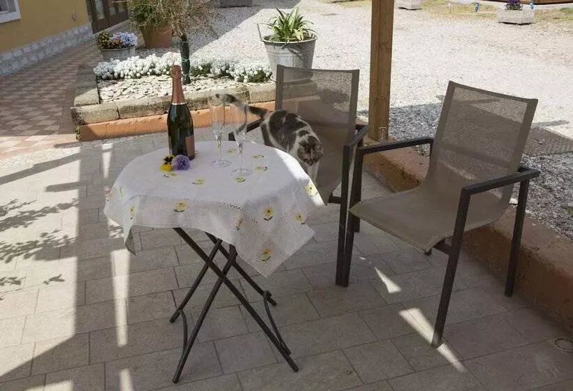 Fotos del hotel Agriturismo Alle Quattro Stagioni:  5