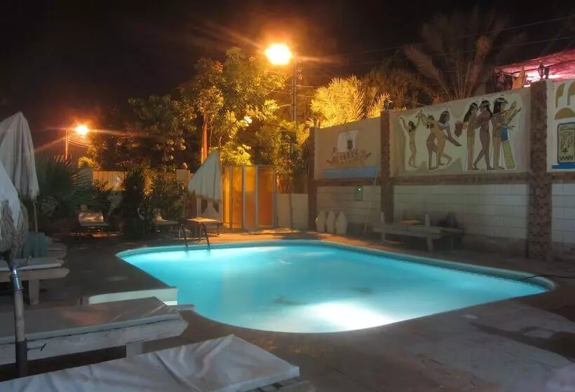 Fotos del hotel El Mesala:  9