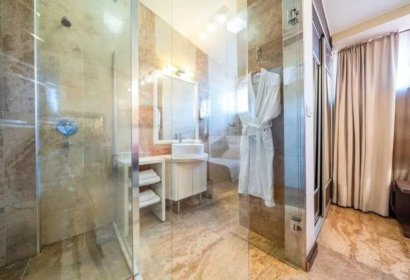 Fotos del hotel Alexandar Lux:  15