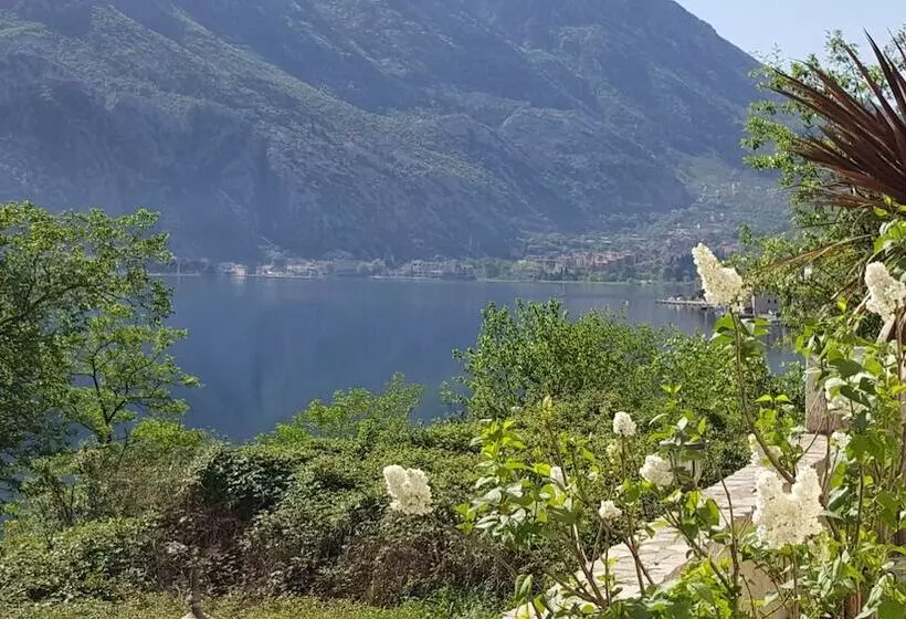 Fotos del hotel Galia:  8