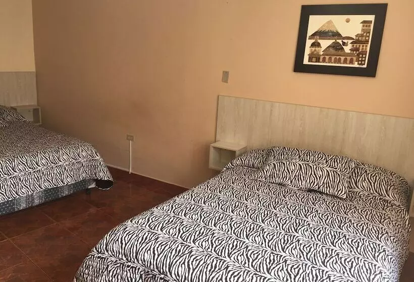 Fotos del hotel Mediterráneo Quito:  13