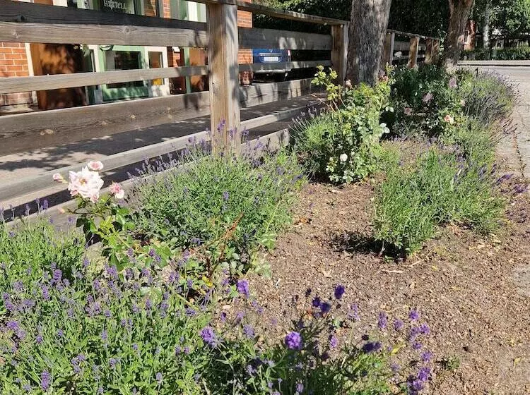 Fotos del hotel L Stella:  12