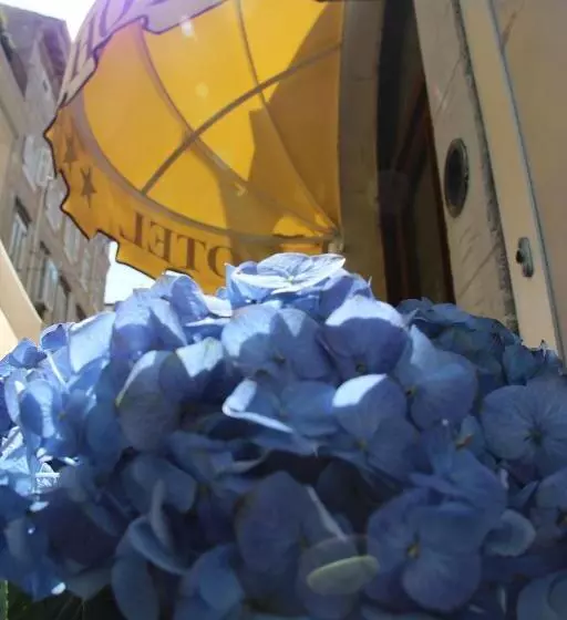 Fotos del hotel Albergo Al Viale:  6