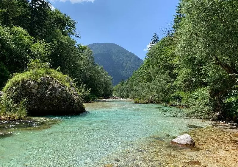 Fotos del hotel Mangart Superior:  11