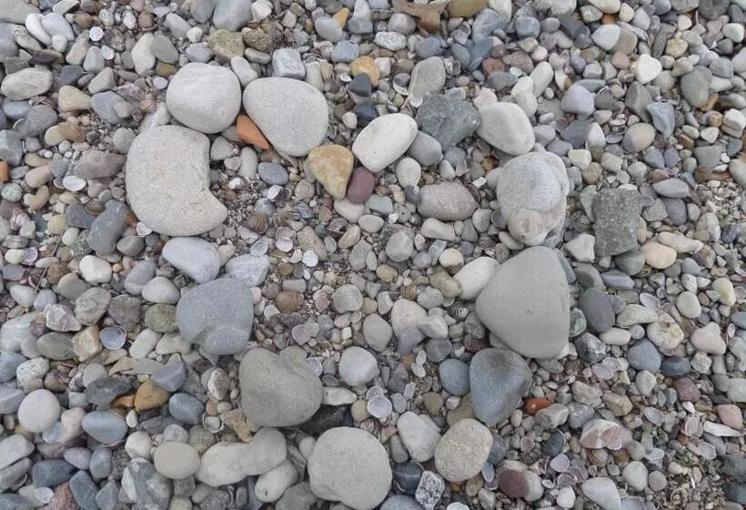 Fotos del hotel Astoria:  7