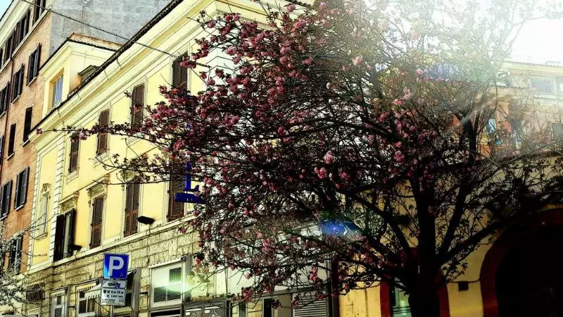 Fotos del hotel Coppede':  2