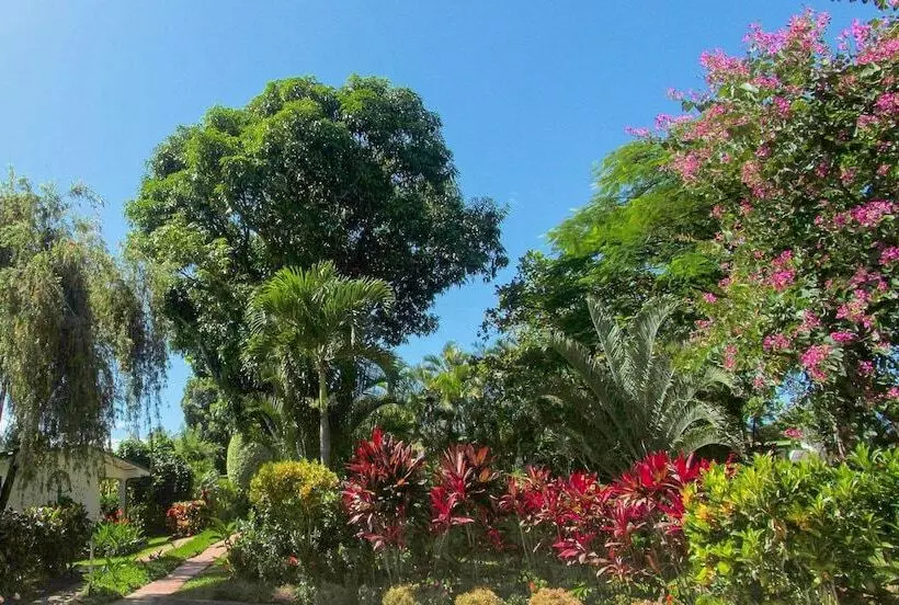 Fotos del hotel La Rosa De America:  8