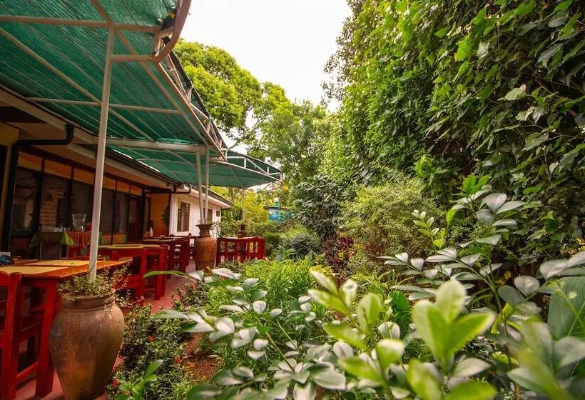 Fotos del hotel La Rosa De America:  19