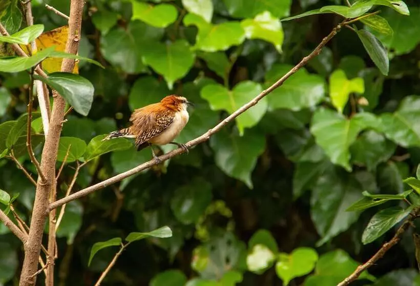 Fotos del hotel La Rosa De America:  17