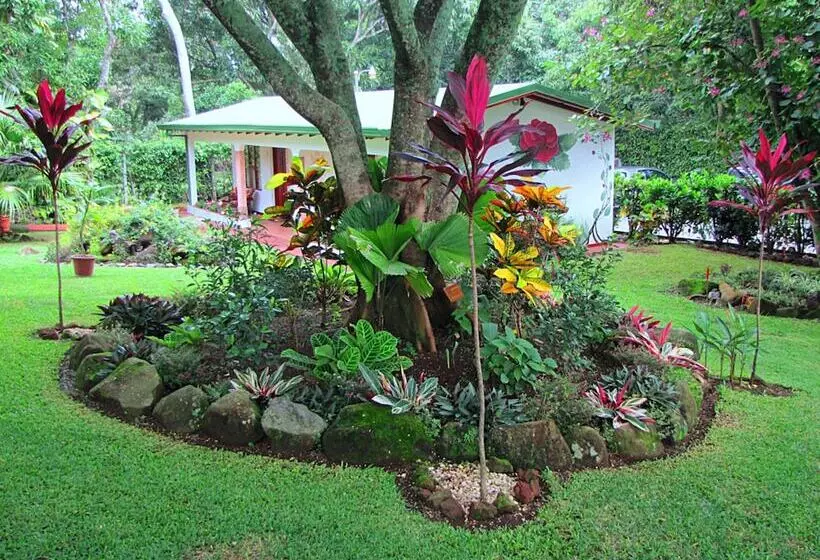 Fotos del hotel La Rosa De America:  24