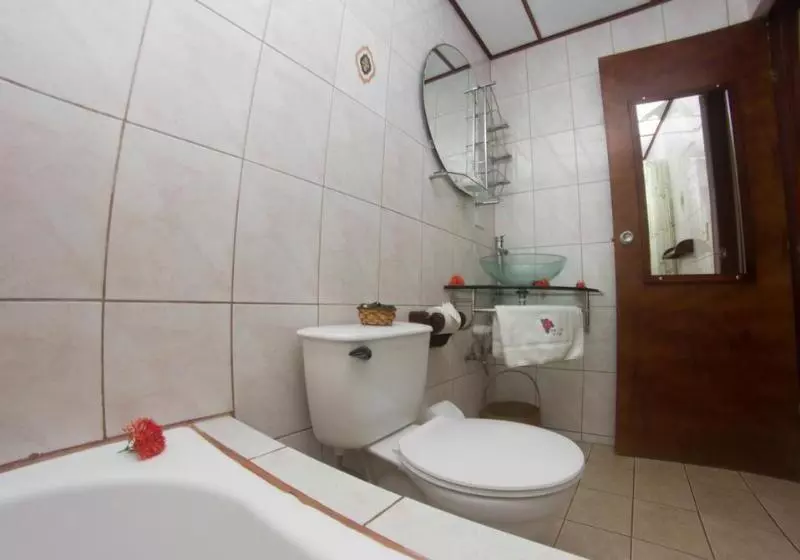 Fotos del hotel La Rosa De America:  6