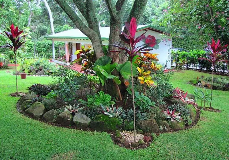 Fotos del hotel La Rosa De America:  20