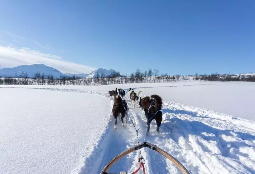 Fotos del hotel Smarthotel Tromsø:  49