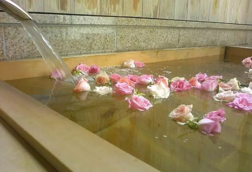 Fotos del hotel Ochanomizu  Shoryukan:  10